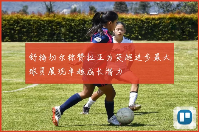 舒梅切尔称赞拉亚为英超进步最大球员展现卓越成长潜力